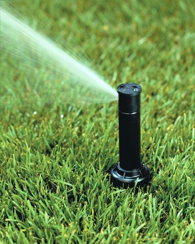 Water spraying out of a pop-up sprinkler in a lawn