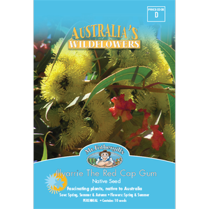 Mr Fothergill's Illyarie Red Cap Gum Flower Seeds