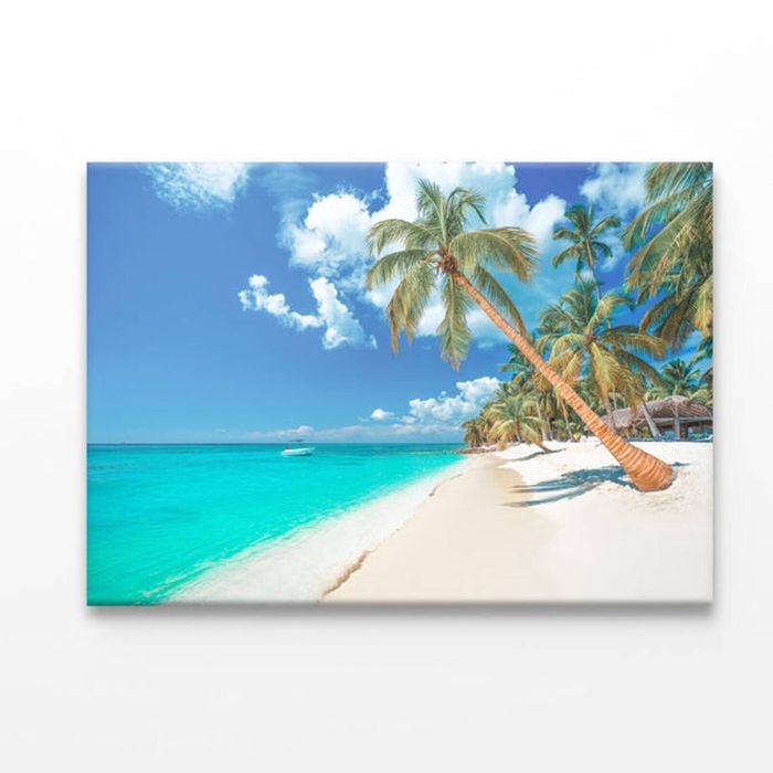 Palm And Tropical Beach in Punta Cana, Dominican Republic  Print 100% Australian Made 50 x 40cm  (Acrylic)