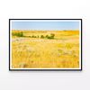 Grassland in North Dakota  Print 100% Australian Made 90x60cm  (Poster)