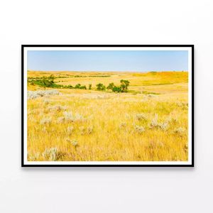 Grassland in North Dakota  Print 100% Australian Made 90x60cm  (Poster)