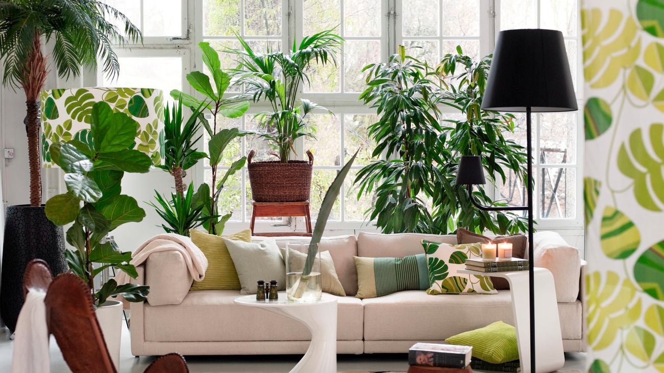 Living room filled with houseplants, a white sofa, tall black lamp and large windows