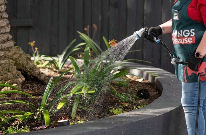 Water the garden