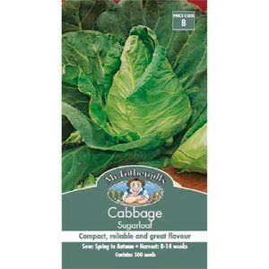 Mr Fothergill's Cabbage Sugarloaf Seeds