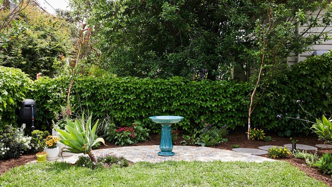 A vibrant backyard garden with a teal birdbath on paving, bordered by lawn, flower beds and hedge.