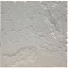 Paver Fossil Charcoal