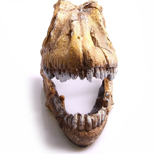 Aqua One Dinosaur Skull Ornament (36762)