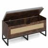 Costway Rattan Storage Chest 1m Shoe Bench Cabinet Flip Top Padded Hall