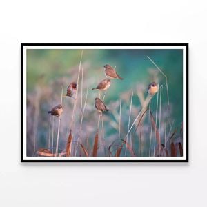 Birds Perched On a Branch View  Print 100% Australian Made 90x60cm  (Poster)