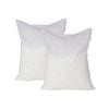 Absordry Moisture Absorber Refill - 2 Pack 