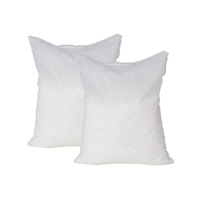 Absordry Moisture Absorber Refill - 2 Pack 
