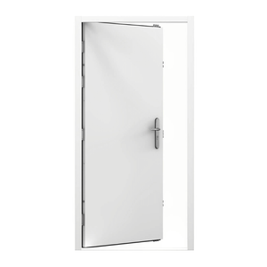 Lathams 2050 x 820 x 50 mm - LHI - Surfmist White Steel Security Door and Frame