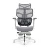 Shappa Spencer -  Premium Executive Ergonomic Chair Grey