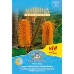 Mr Fothergill's Wildflower Heath Banksia Seeds