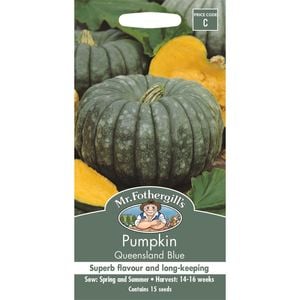 Mr Fothergill's Queensland Blue Pumpkin Vegetable Seeds