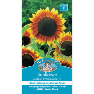 Mr Fothergill's Sunflower Golden Prominence Flower Seeds