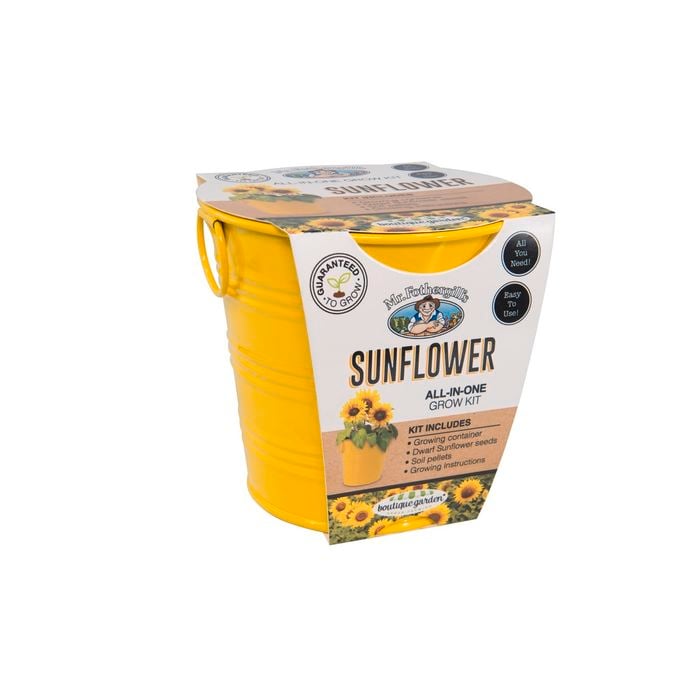 Mr Fothergill's Boutique Gardens Sunflower Grow Kit