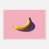 Galrie Stunning Minimal Banana Fine Art Print for Modern Decor, Poster Only, 70 x 100cm (28 x 40inch)