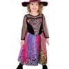 Sparkly Girls Rainbow Witch Halloween Costume - Large