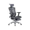 SIHOO V1 Office Chair with Premium Mesh Seat Headrest Armrest Lumbar Support and Footrest  (Black)