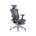 SIHOO V1 Office Chair with Premium Mesh Seat Headrest Armrest Lumbar Support and Footrest  (Black)