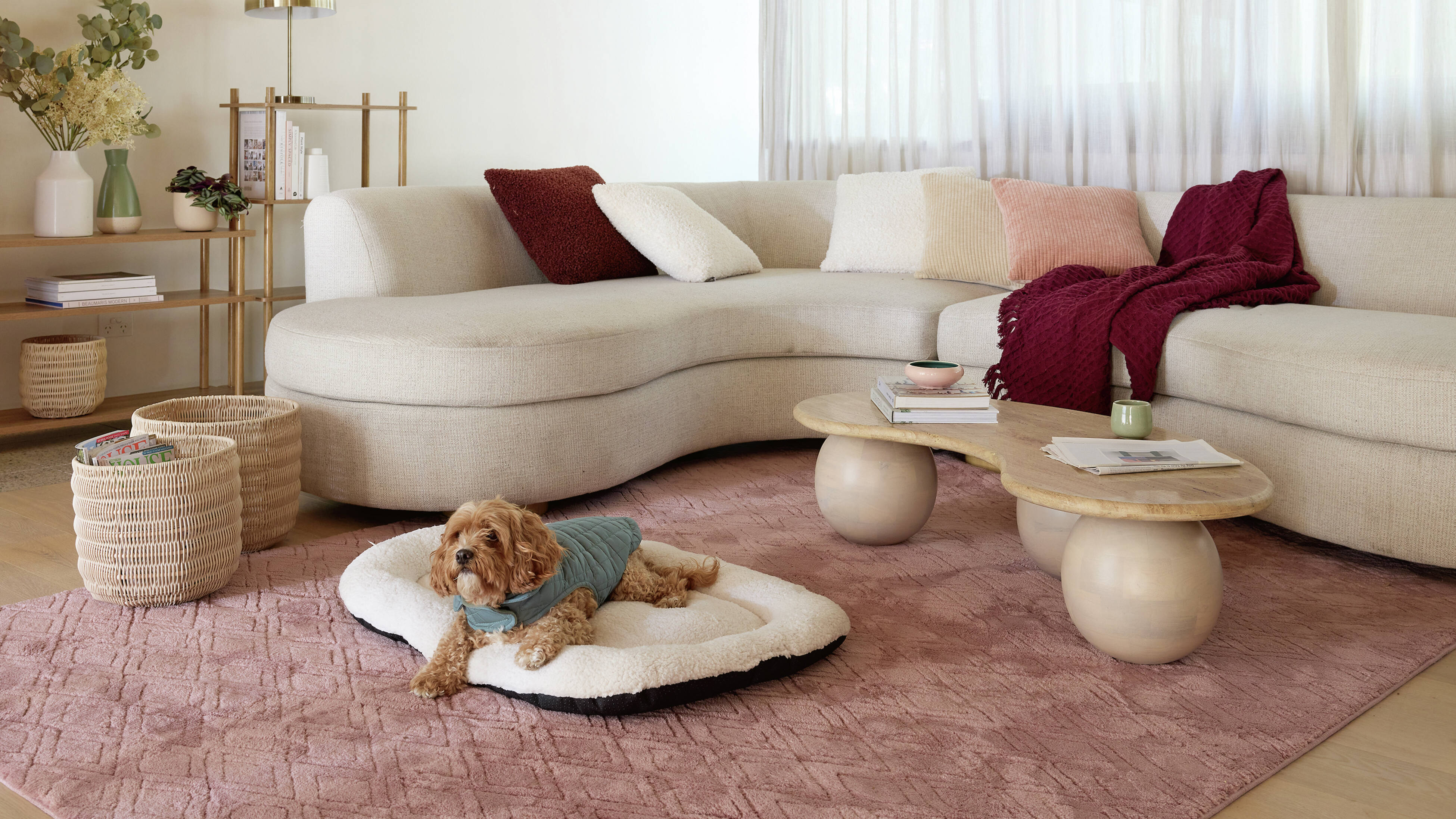 A lounge room with a dog on a cushion, a couch, table, baskets and a shelving unit in it.