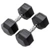 METEOR 35kg Pair Rubber Hex Dumbbells