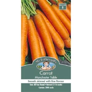 Mr Fothergill's Carrot Manchester Table Seeds