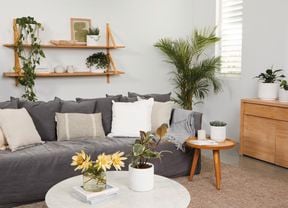 Lounge space with dark grey couch, assorted cushions, coffee tables, timber wall mounted shelving and potted plants.