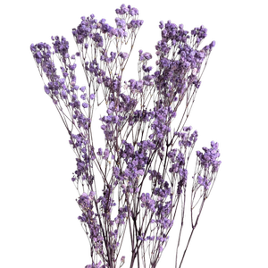 Blooms of Joy 60cm Lilac Babies Breath 4 Piece