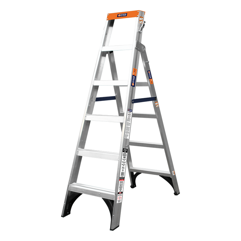 150kg 6 Step Dual Purpose Ladder