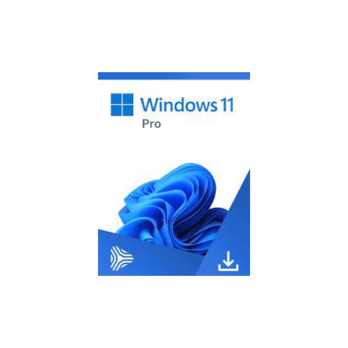 Microsoft Windows 11 Professional activation key