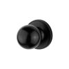 Sylvan Black Boston Entrance Knobset