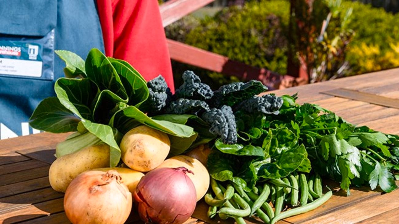 assortment of harvested vegetables on a table