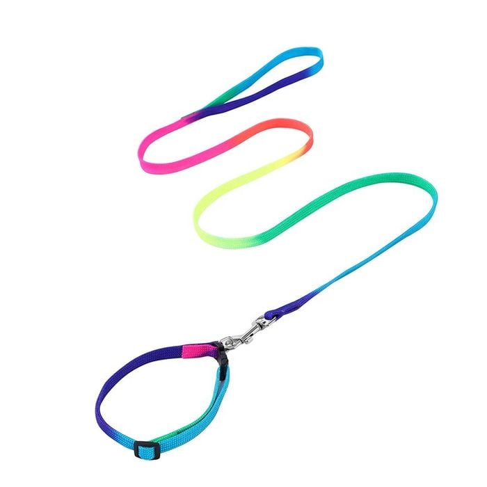 Paws & Claws Pet/Cat 1.2m/25-40cm Adjustable Collar Lead Set