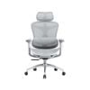 SIHOO Doro-C300 Ergonomic Office Chair with Premium Mesh Seat Headrest Armrest Lumbar Support(Light Grey)