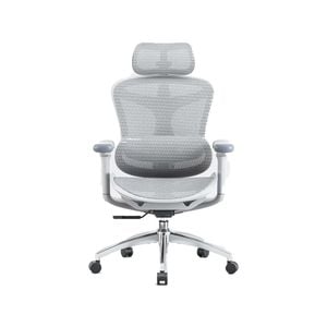 SIHOO Doro-C300 Ergonomic Office Chair with Premium Mesh Seat Headrest Armrest Lumbar Support(Light Grey)