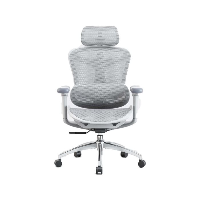 SIHOO Doro-C300 Ergonomic Office Chair with Premium Mesh Seat Headrest Armrest Lumbar Support(Light Grey)