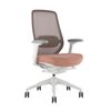 Desky CoilFlex Ergonomic Office Chair without Headrest