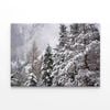 The First Big Snowfall of winter   Print 100% Australian Made 75 x 50cm  (Stretched)