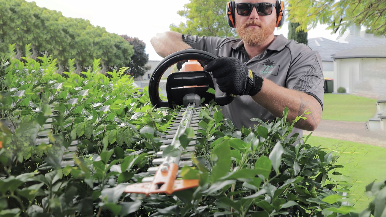 Close-up of a person trimming a hedge with a handheld hedge trimmer in a garden.