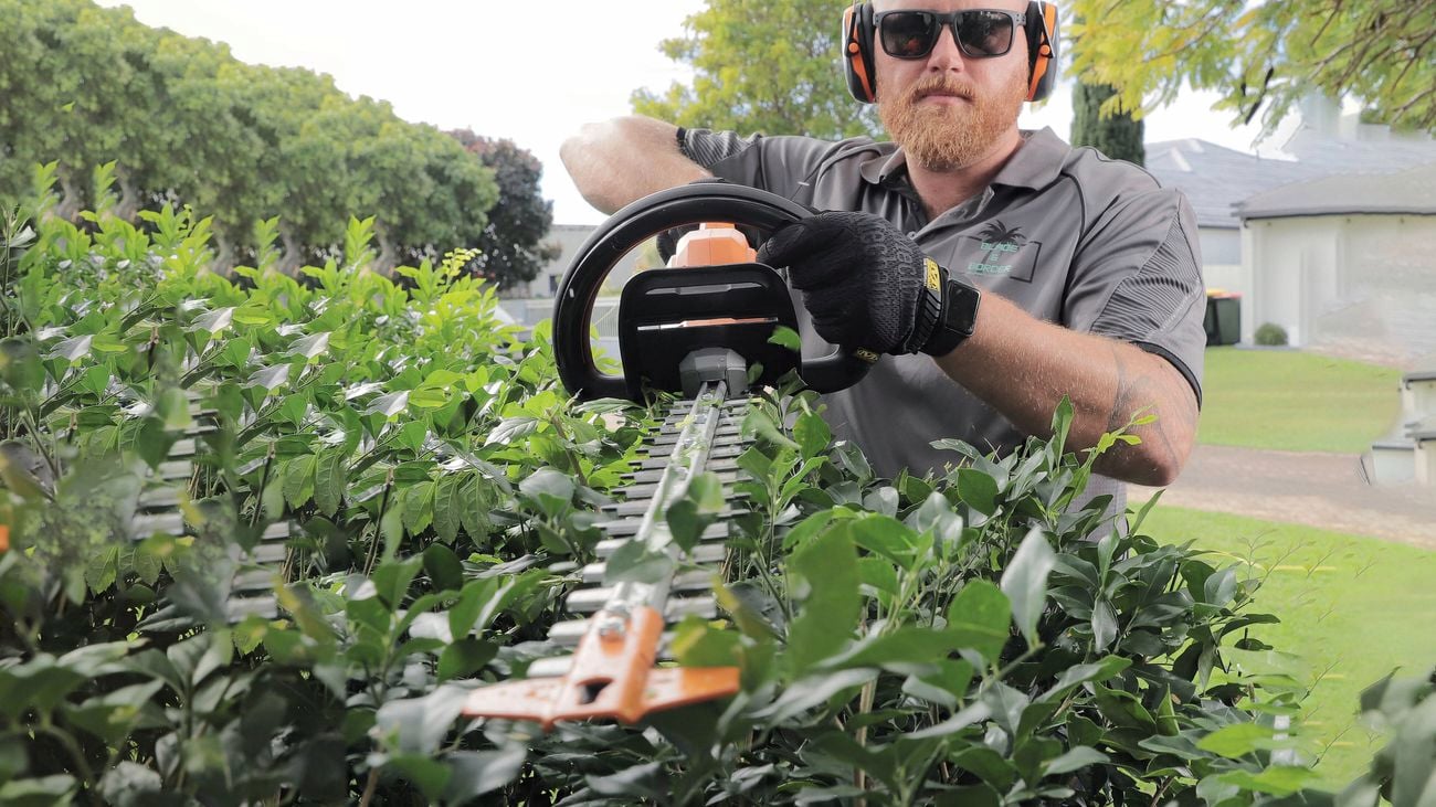 Close-up of a person trimming a hedge with a handheld hedge trimmer in a garden.