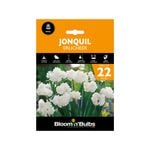 Bloomin' Bulbs Jonquil Erlicheer - 22 Pack
