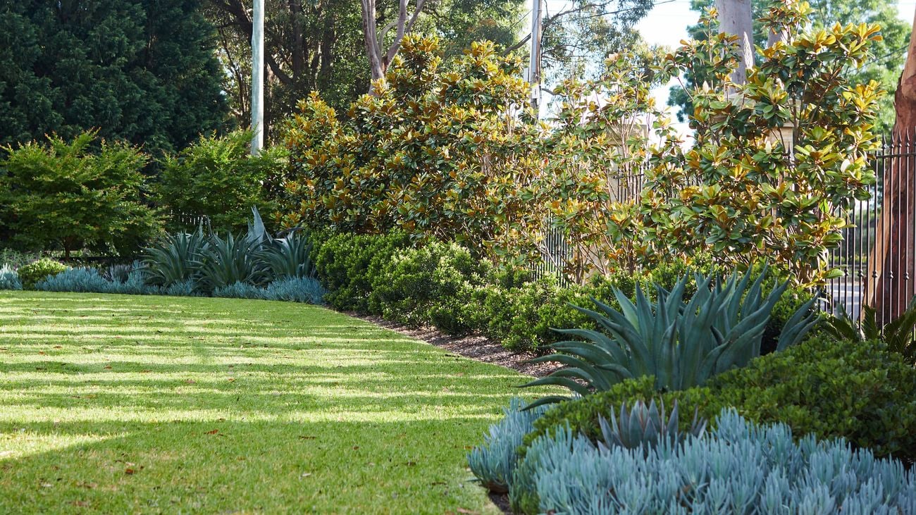 Backyard with a trimmed lawn surrounded by trees, small bushes and other green plants