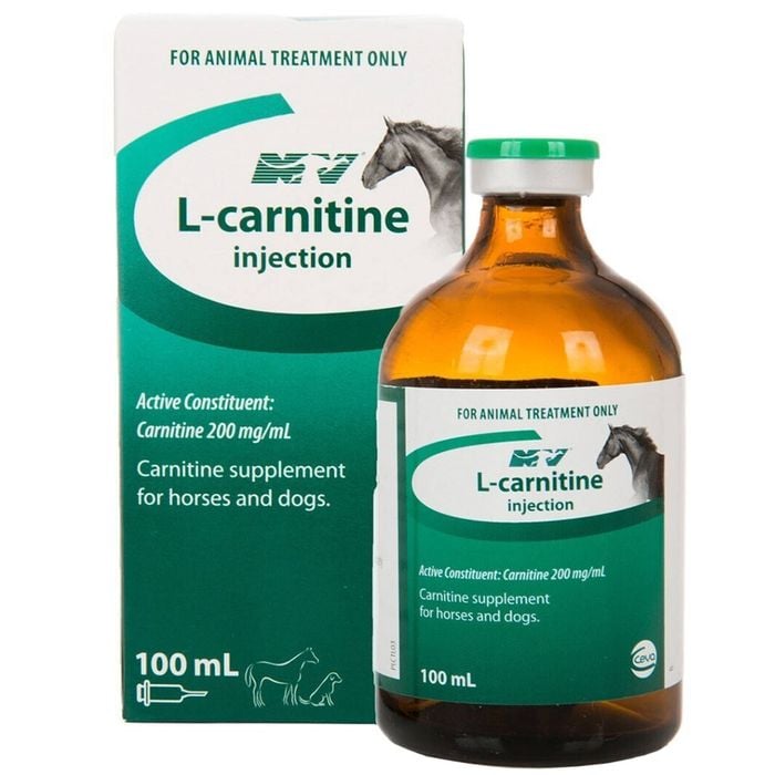 l-carnitine dogs Heart Support Best Dog Food For Dog With Heart Murmur Cardiovascular Support For With L Ceva L-carnitine Supplement Amino Acid