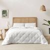 Essn Healthguard Allergy Sensitive Cotton Cover All Seasons Down Alternative Quilt Queen Bed