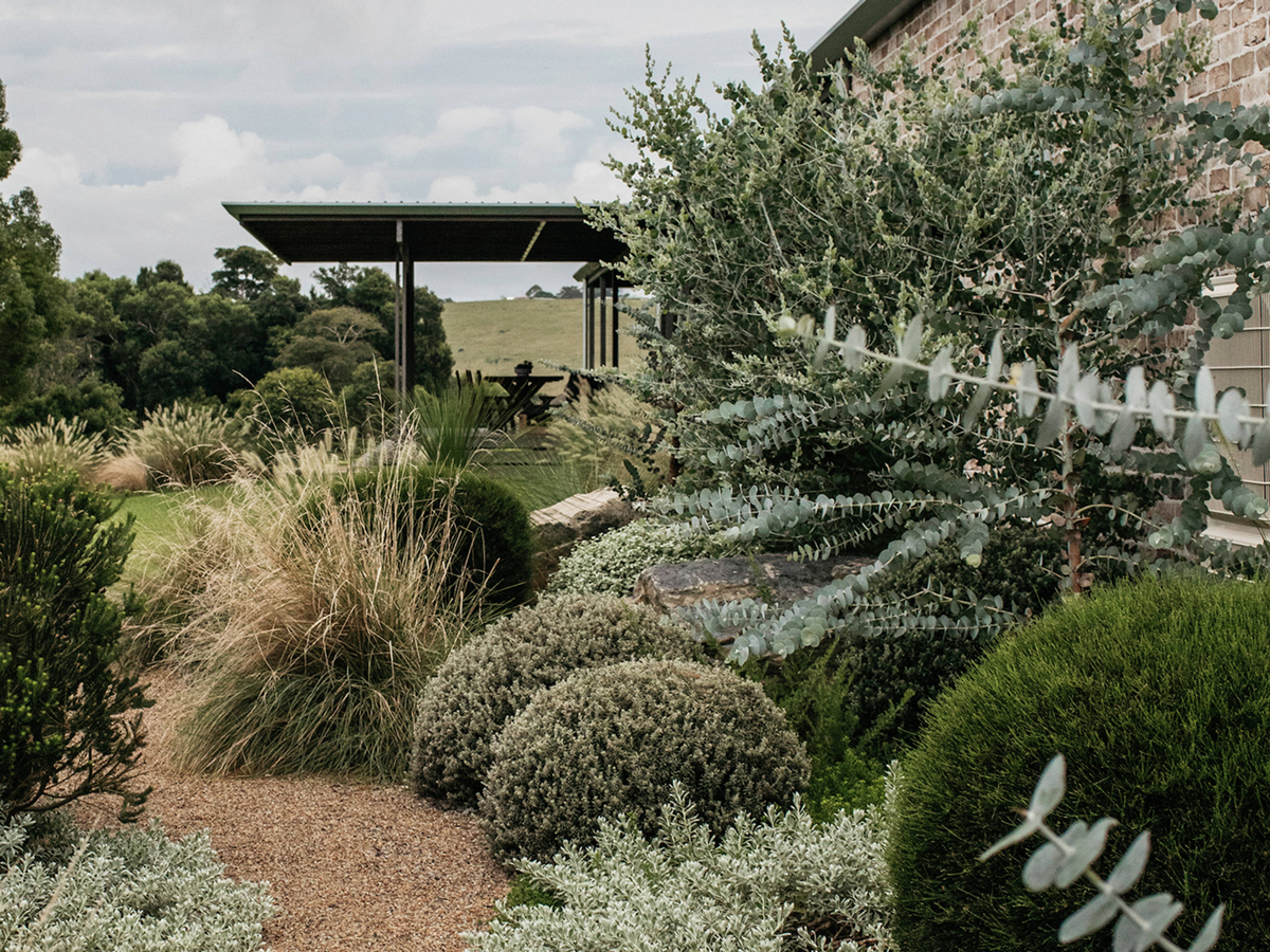 How To Set Up A Garden Irrigation System - Bunnings Australia