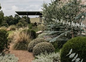A garden with a gravel pathway, lined with native shrubs and grasses