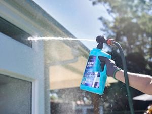 Blue Simple Green exterior window cleaner being sprayed by a gloved hand