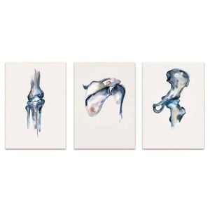 3pcs Classic Ink Anatomy Portrait Print 100% Australian Made 3 x 40x60cm (Metal Print)